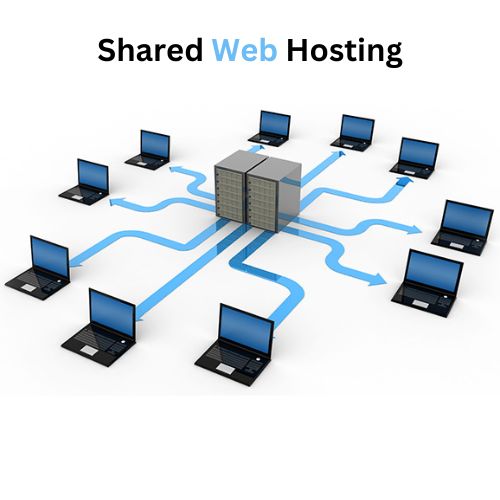 Shared Web Hosting