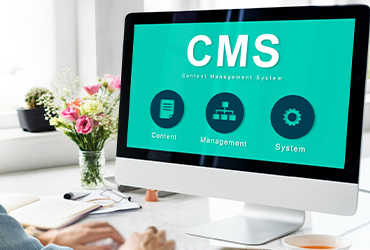 CMS Development